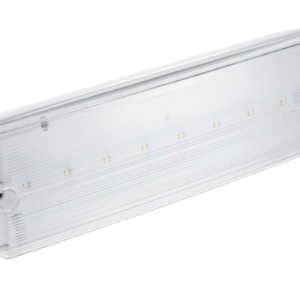 Emergency LED luminaire TERNO, 3 W, 250 lm, 6400K, AC220-240V, IP65, 1 hour, dual-mode, TEST button