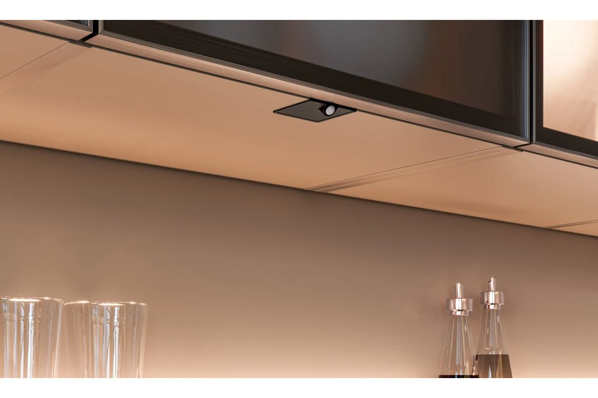 SKY Wireless Switch with PIR Dimmer for 12V/24V Power System