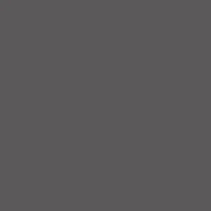 Self-adhesive Screw Cover Caps 0162 PE Graphite Grey