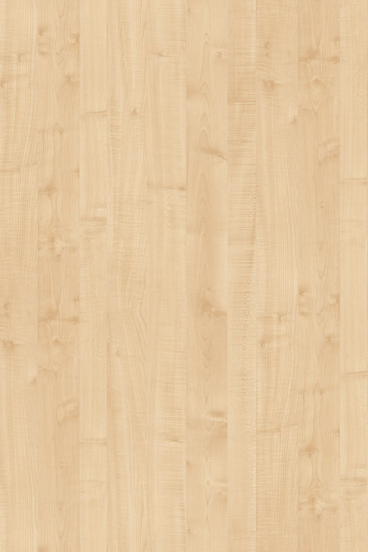 0375 Maple