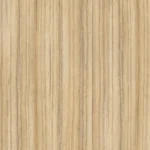 8995 Coco Bolo