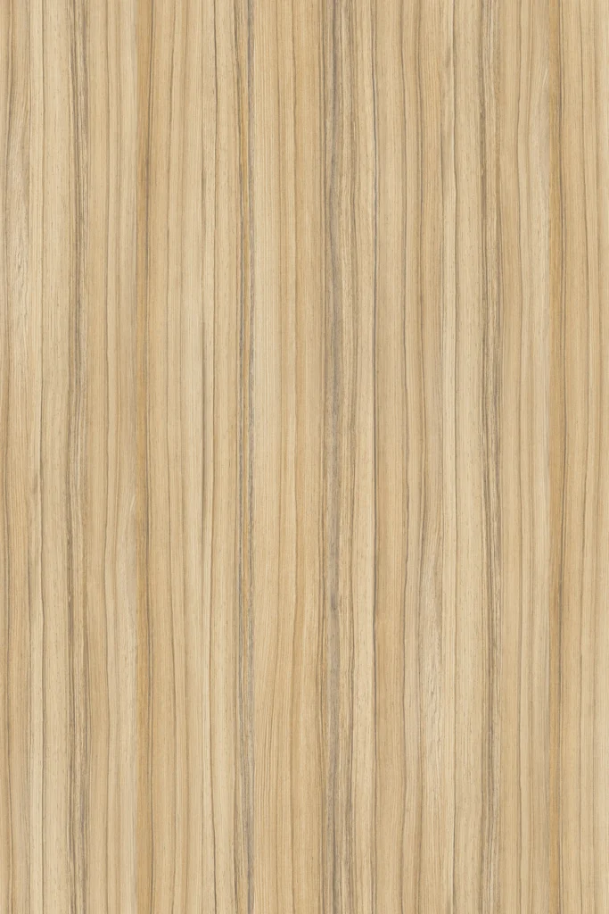 8995 Coco Bolo