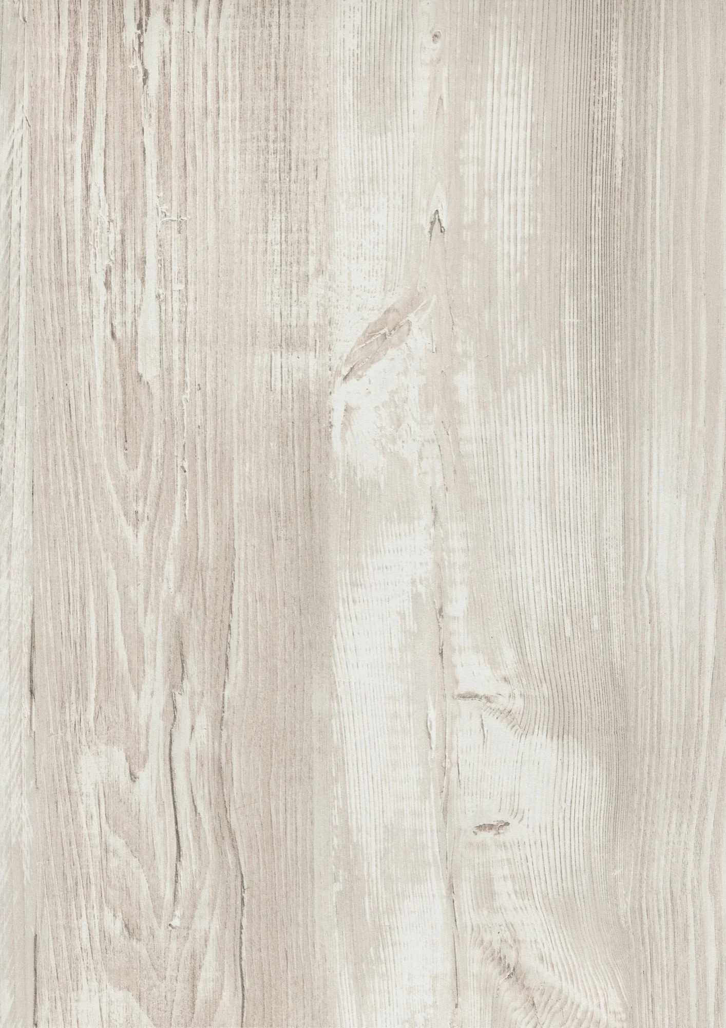 H1401 Cascina Pine