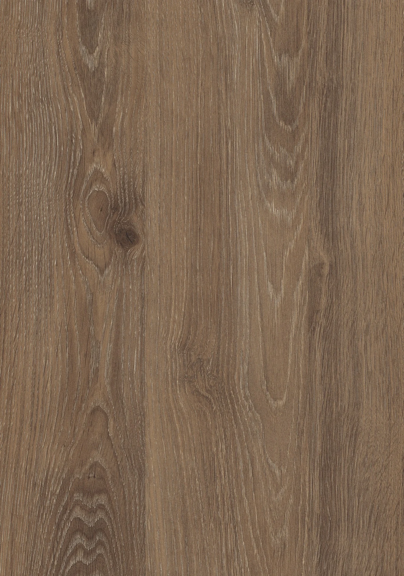 H3133 Truffle Brown Davos Oak