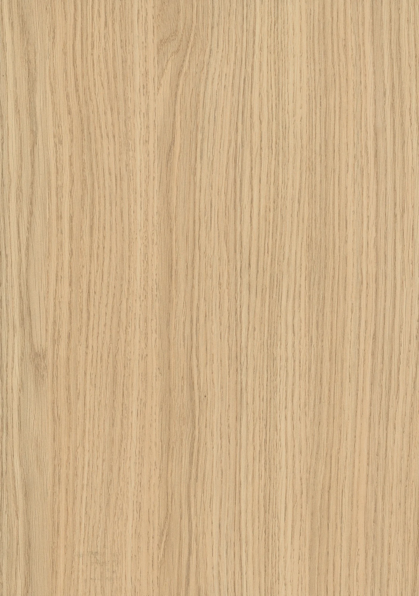 Egger H3157 ST12 Vicenza Oak Laminated Chipboard 2800 × 2070 mm