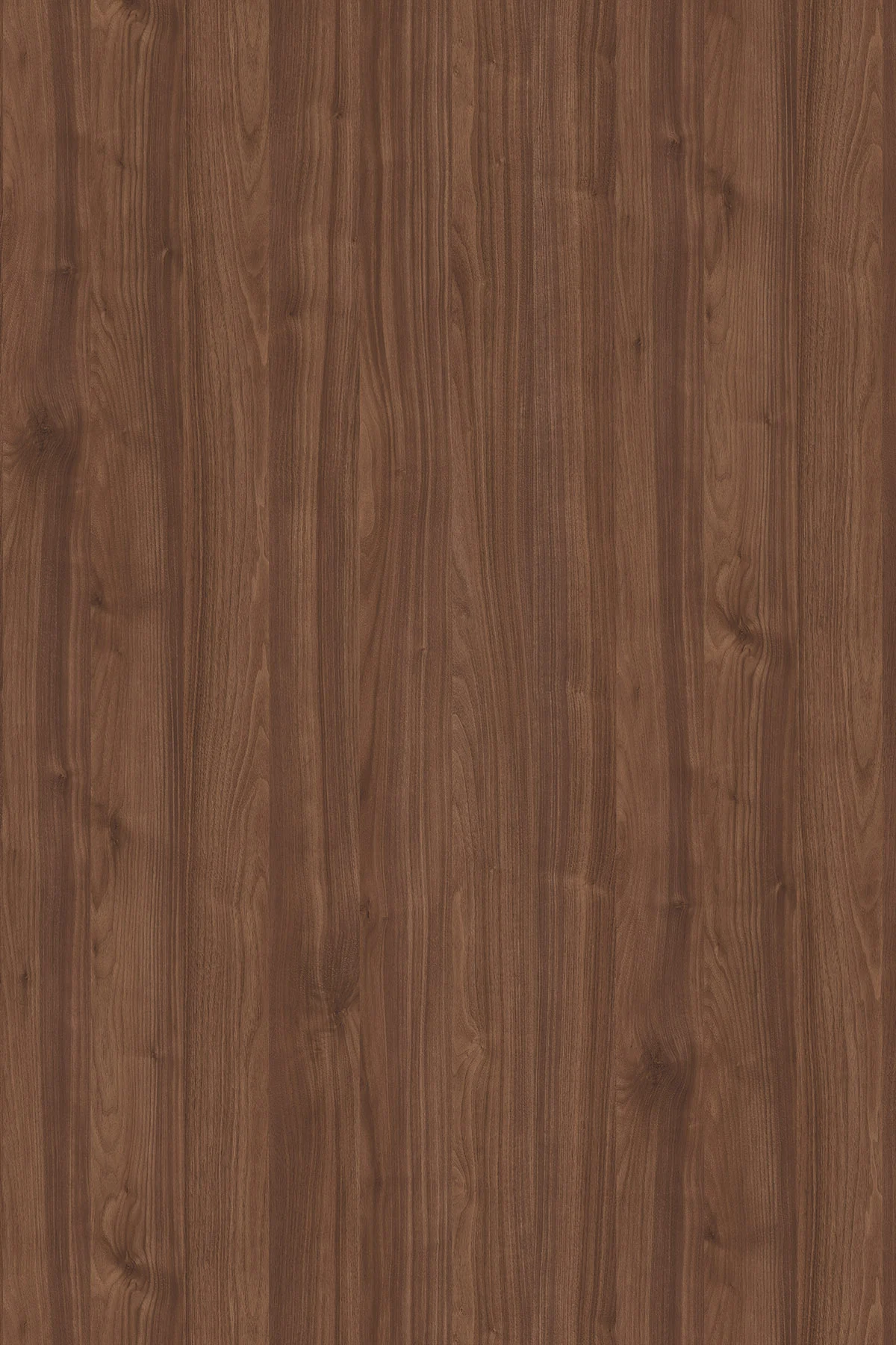 ABS-servakant K020 Fireside Select Walnut