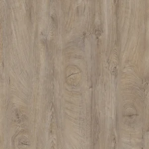 Self-adhesive Screw Cover Caps K105 PW Raw Endgrain Oak