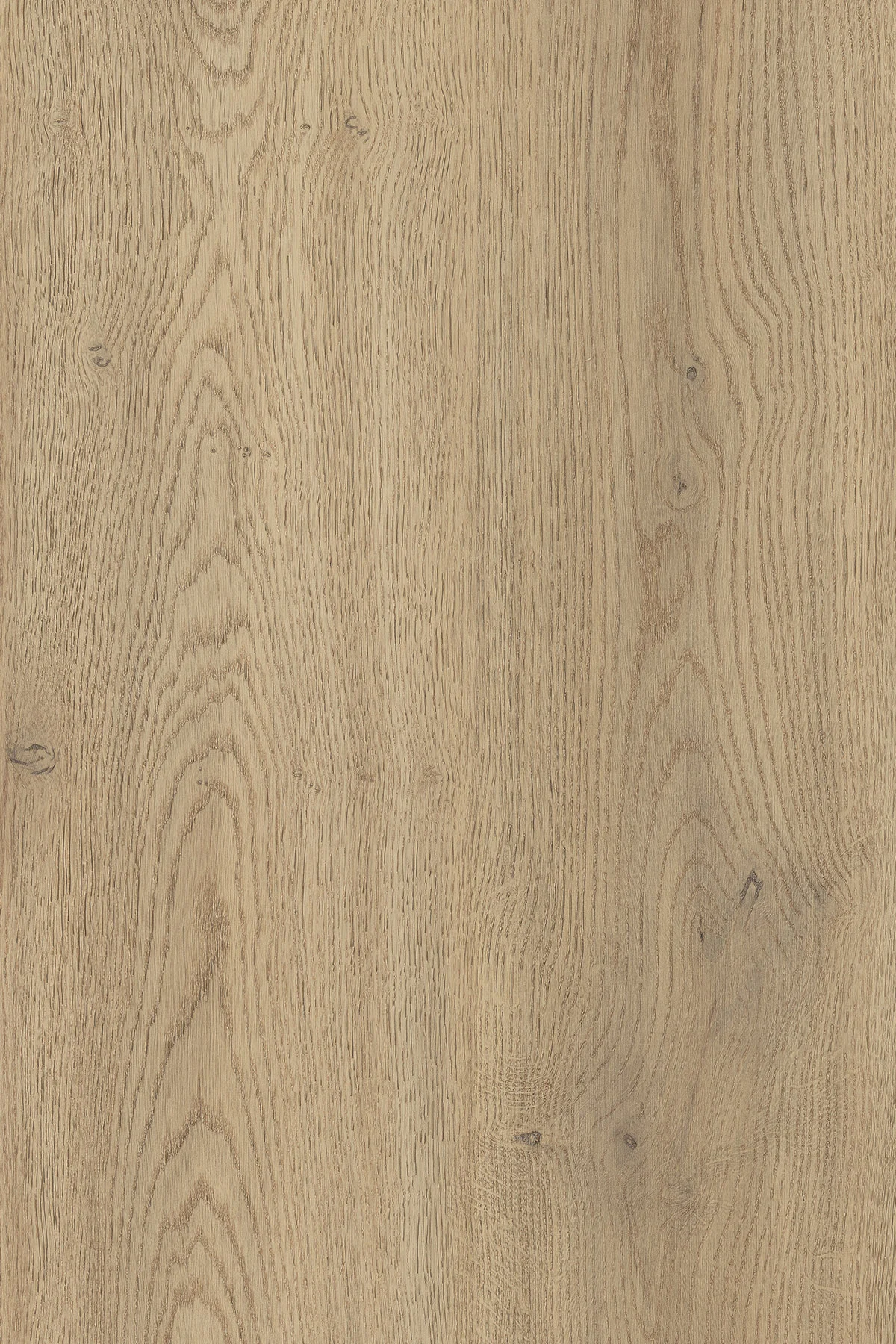 Kronospan K2738 PW Torro Cremona Oak Laminated Chipboard 2800 × 2070 mm