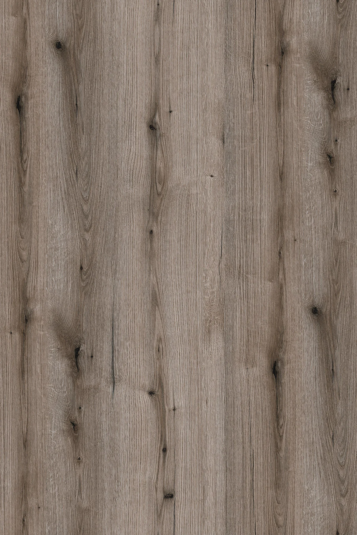 K366 Fossil Evoke Oak