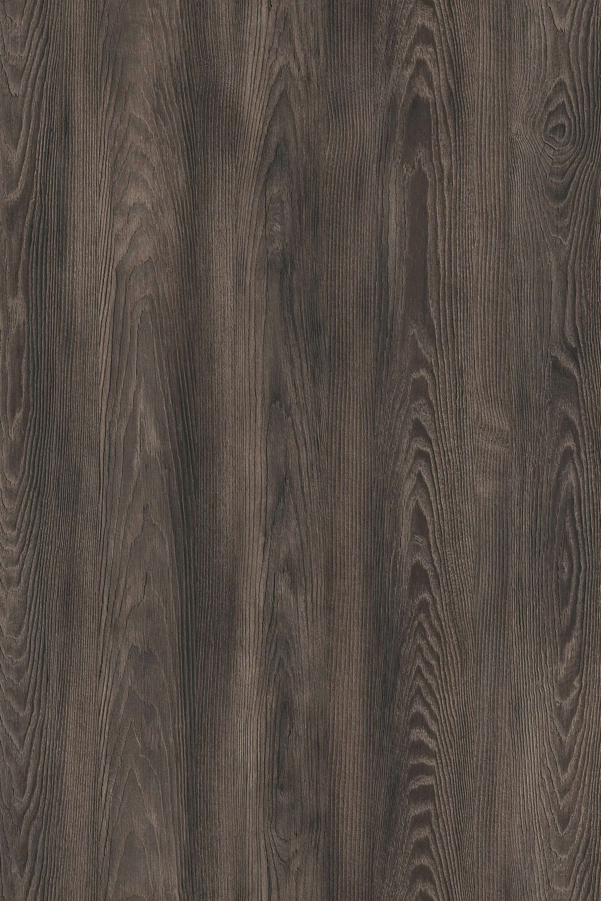 ABS-servakant K533 AD Mink Arvadonna Chestnut