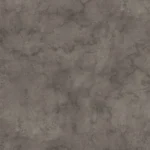 K539 Fossil Arosa