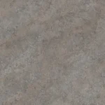 K540 Grey Albus