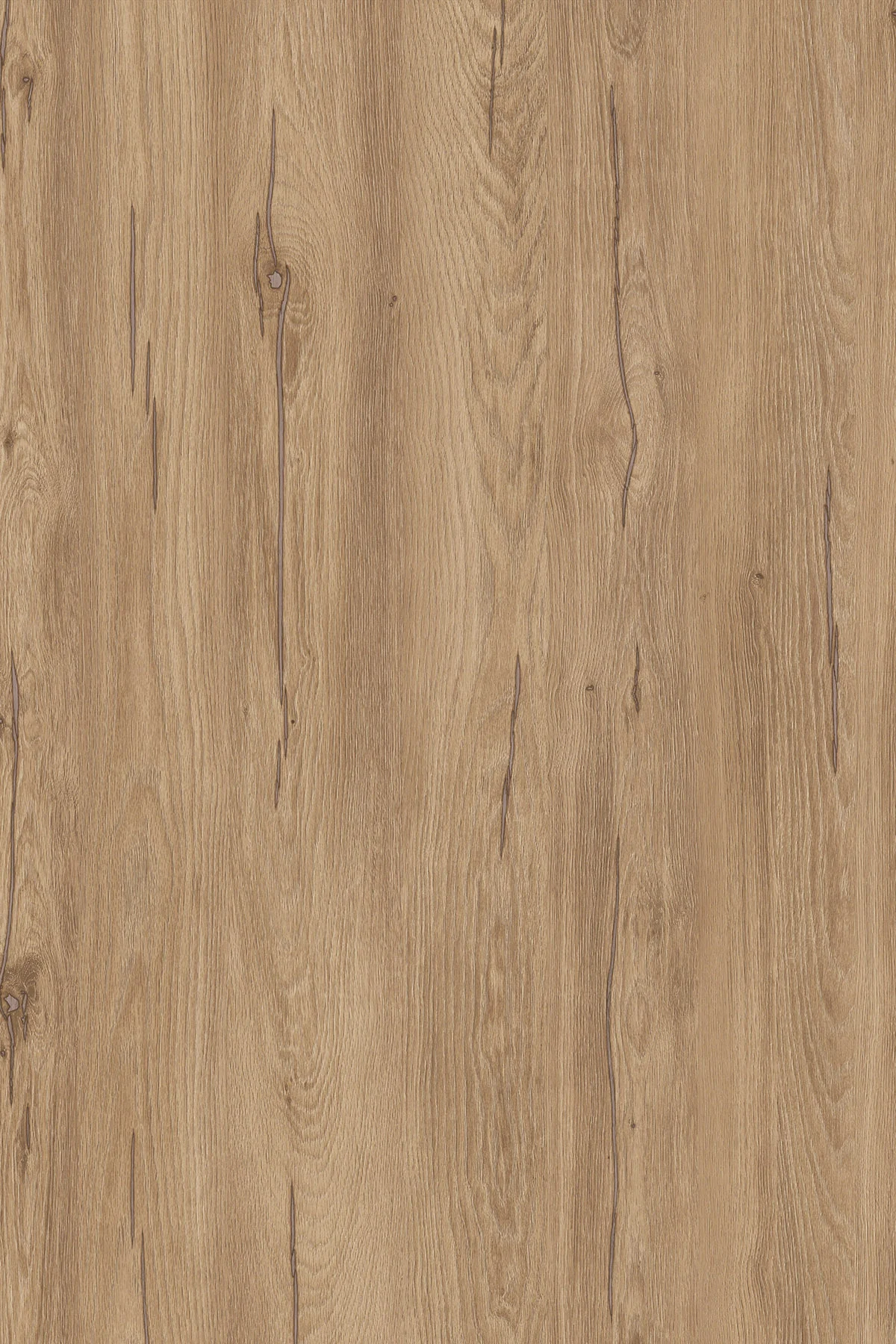 Worktop Edge Strip K544 Hazel Silverjack Oak