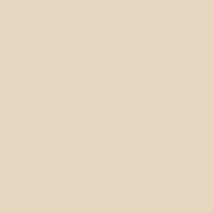 ABS Edge Banding U156 ST9 Sand Beige